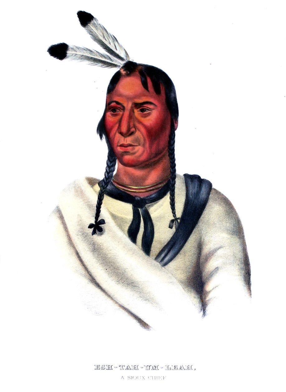 Eshtahumbah (Álmos szemek), sziú főnök alkotó: Charles Bird King
