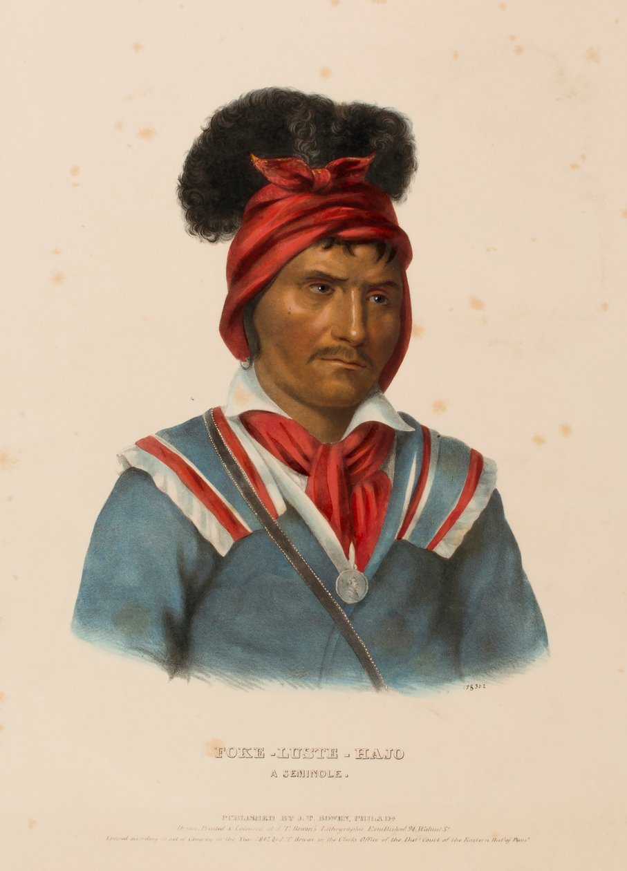 FOKE-LUSTE-HAJO. A SEMINOLE., az Észak-Amerika indián törzseinek története című könyvből. alkotó: Charles Bird King