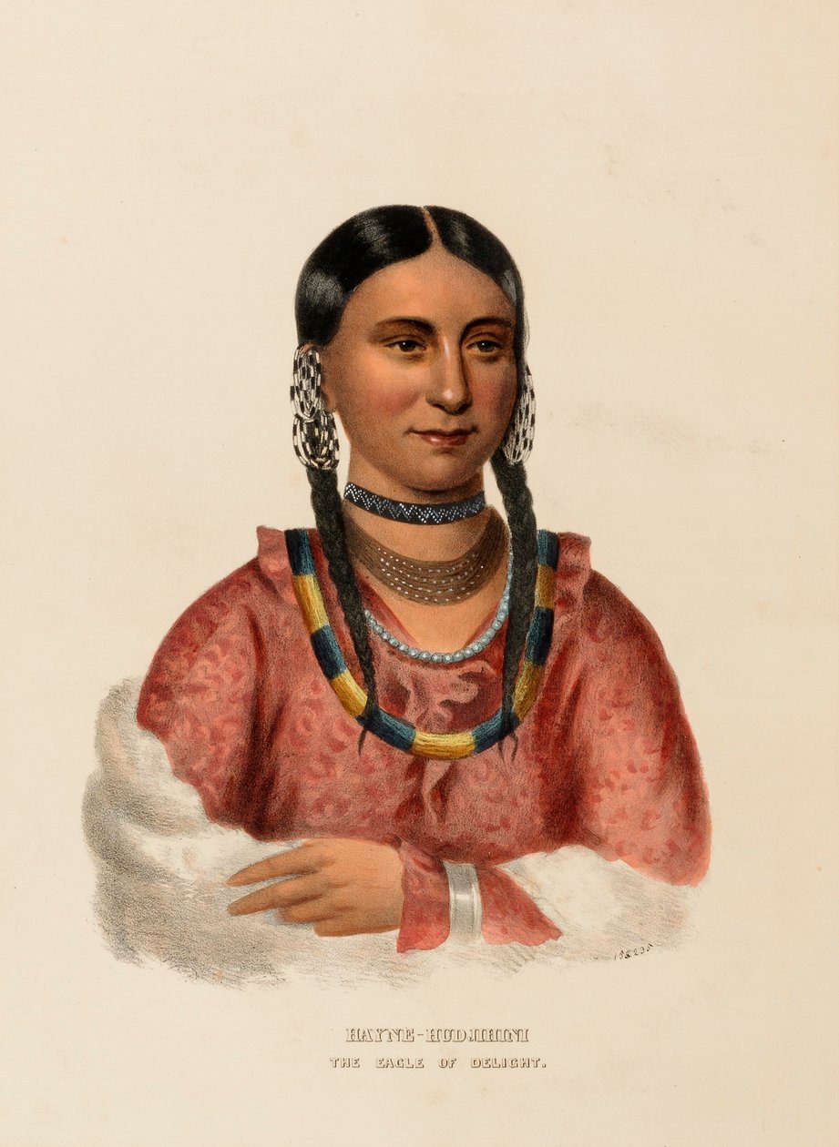 HAYNE-HUDZSIHINI. A Gyönyör SASA., az Észak-Amerika indián törzseinek története című könyvből. alkotó: Charles Bird King