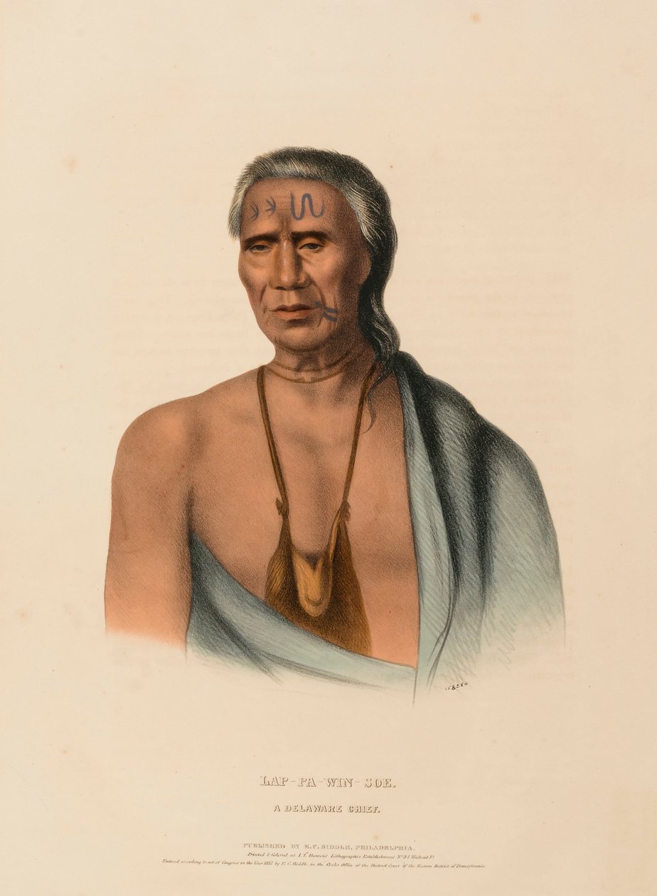LAP-PA-WIN-SOE. A DELAWARE CHIEF., az Észak-Amerika indián törzseinek történetéből alkotó: Charles Bird King