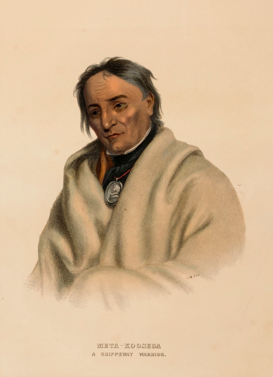 META-KOOSEGA. A CHIPPEWAY WARRIOR., az Észak-Amerika indián törzseinek története című könyvből. alkotó: Charles Bird King