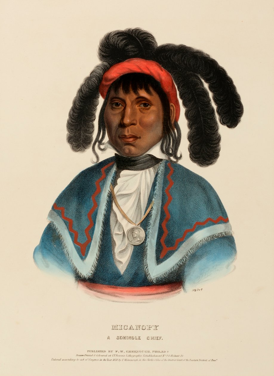MICANOPY. A SEMINOLE CHIEF., az Észak-Amerika indián törzseinek történetéből alkotó: Charles Bird King