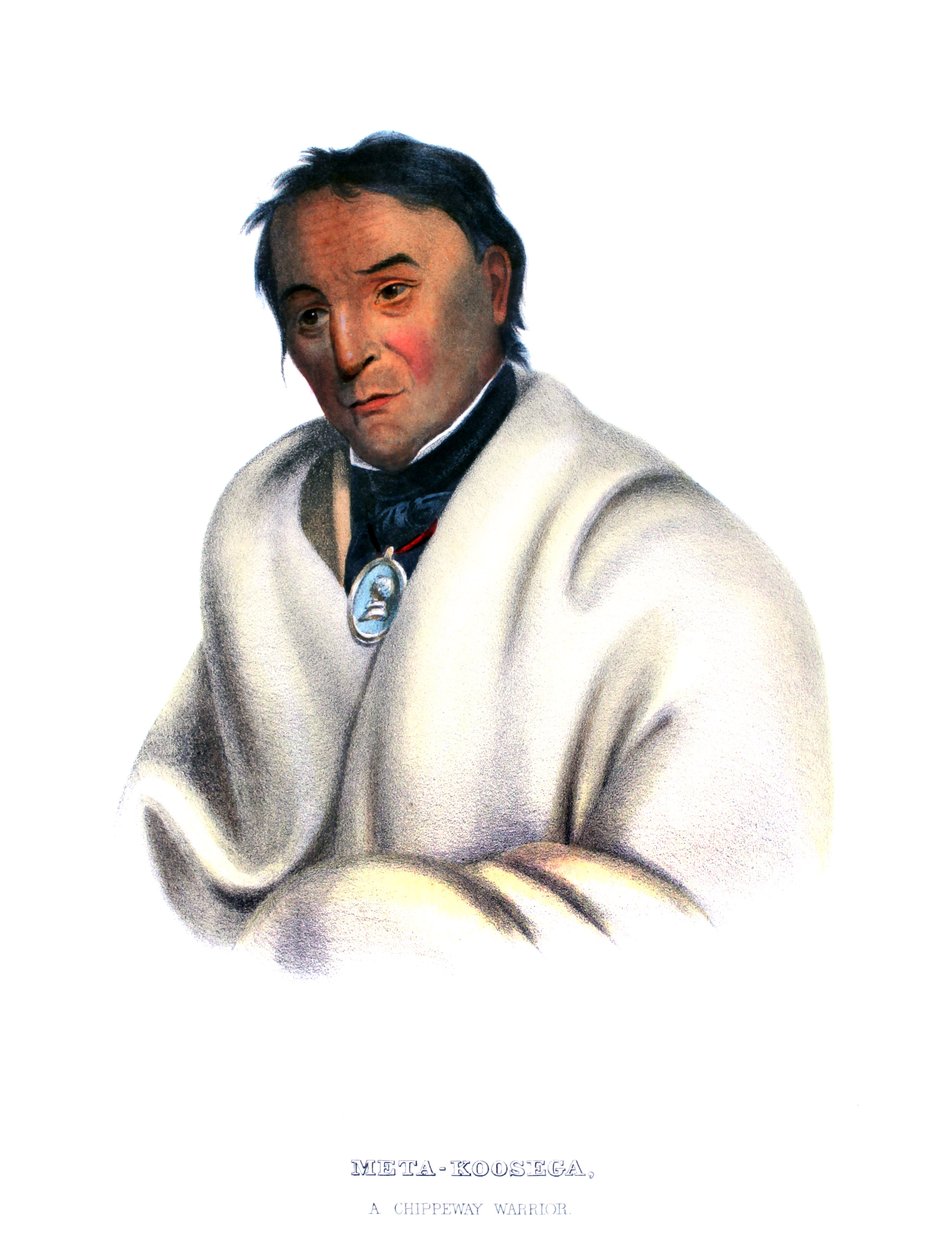 Metakoosega ("Tiszta Dohány"), egy Chippeway harcos alkotó: Charles Bird King