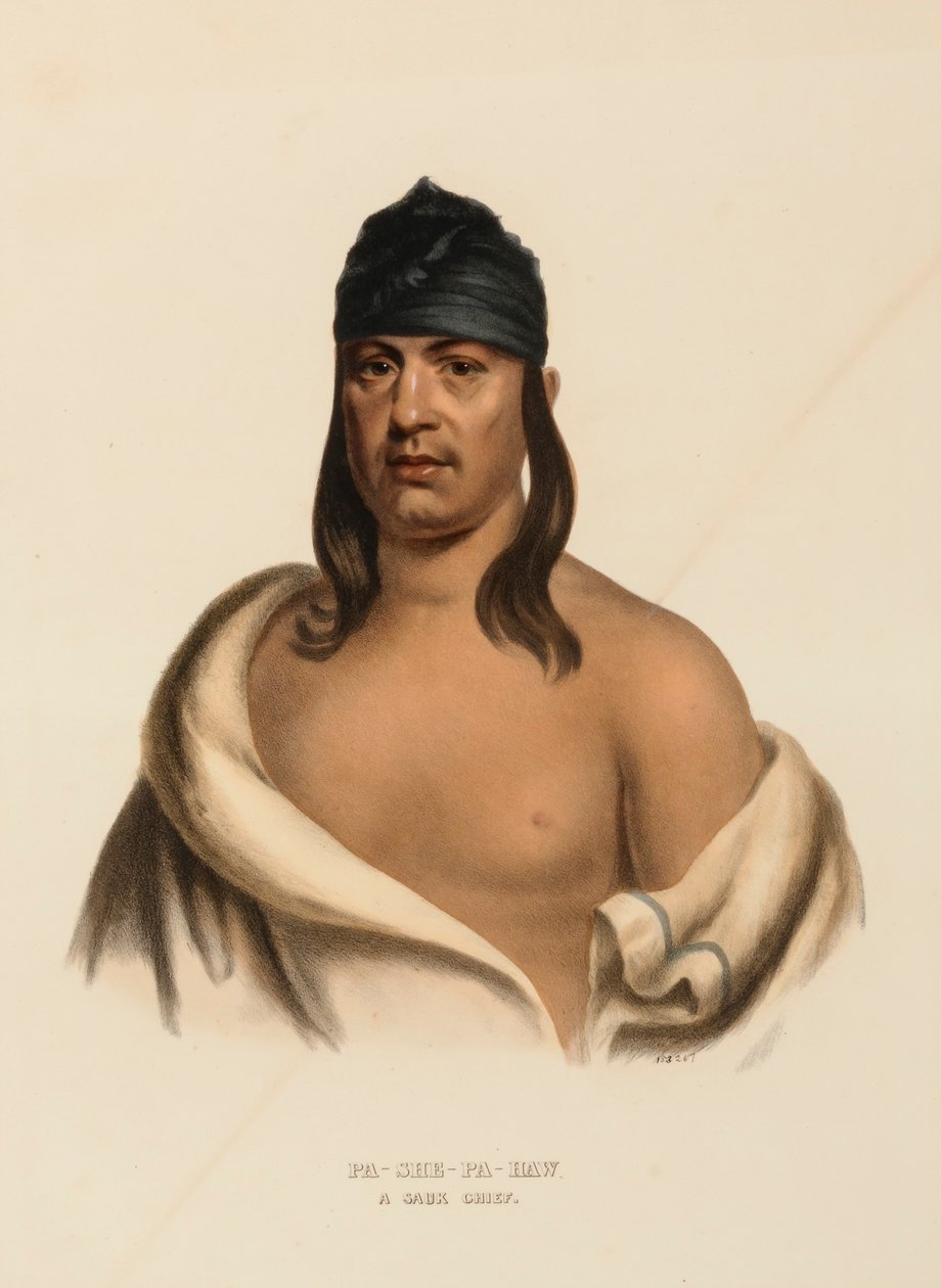 PA-SHE-PA-HAW. A SAUK CHIEF., az Észak-Amerika indián törzseinek története című könyvből. alkotó: Charles Bird King