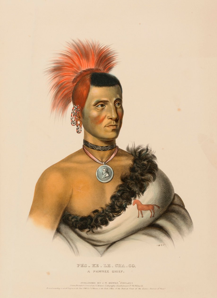 PES-KE-LE-LE-CHA-CO, A PAWNEE CHIEF., az Észak-Amerika indián törzseinek történetéből alkotó: Charles Bird King