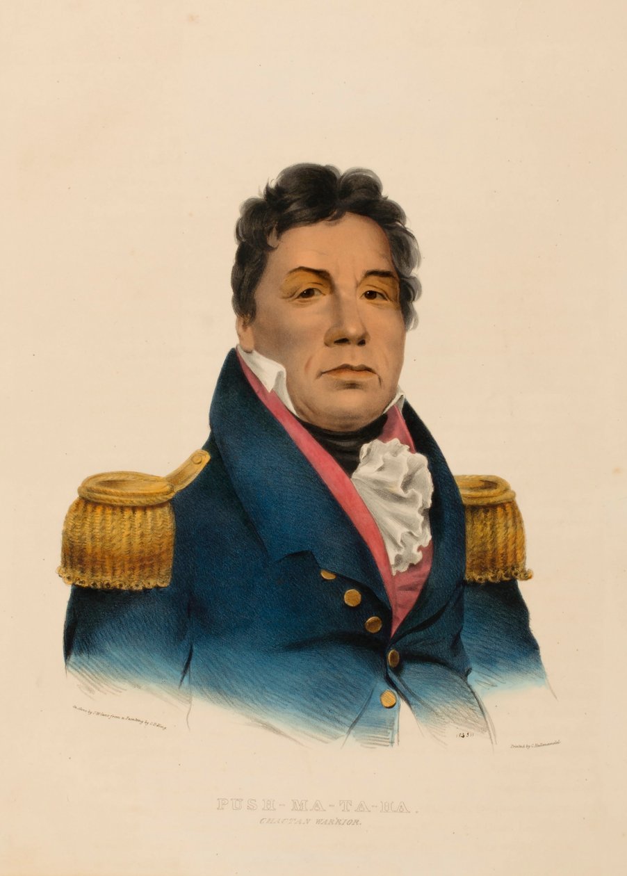 PUSH-MA-TA-HA. CHACTAN WARRIOR, az Észak-Amerika indián törzseinek története című könyvből. alkotó: Charles Bird King