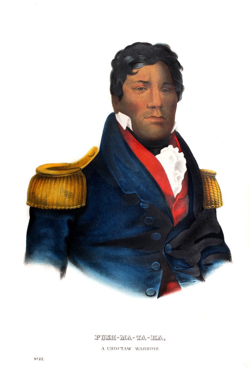 Pushmataha, egy Choctaw harcos alkotó: Charles Bird King