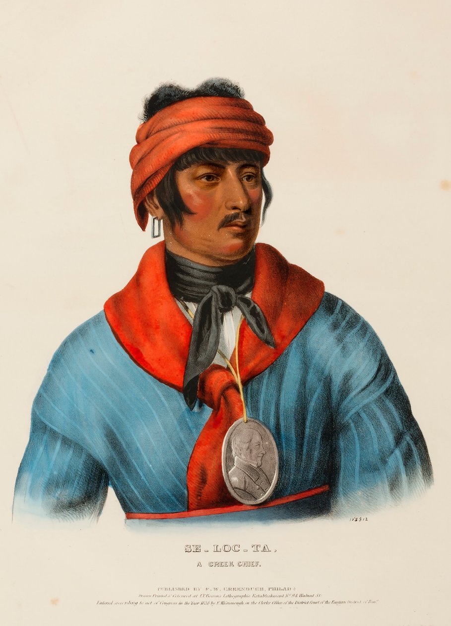 SE-LOC-TA, EGY PATAKFŐNÖK. alkotó: Charles Bird King