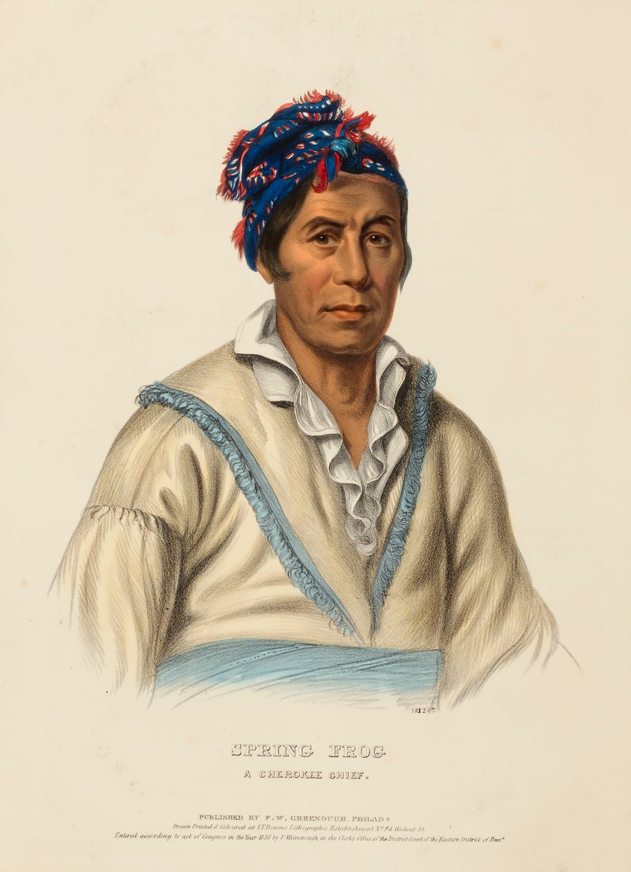 TAVASZI BÉKÁK. A CHEROKEE CHIEF, az Észak-Amerika indián törzseinek története című könyvből. alkotó: Charles Bird King