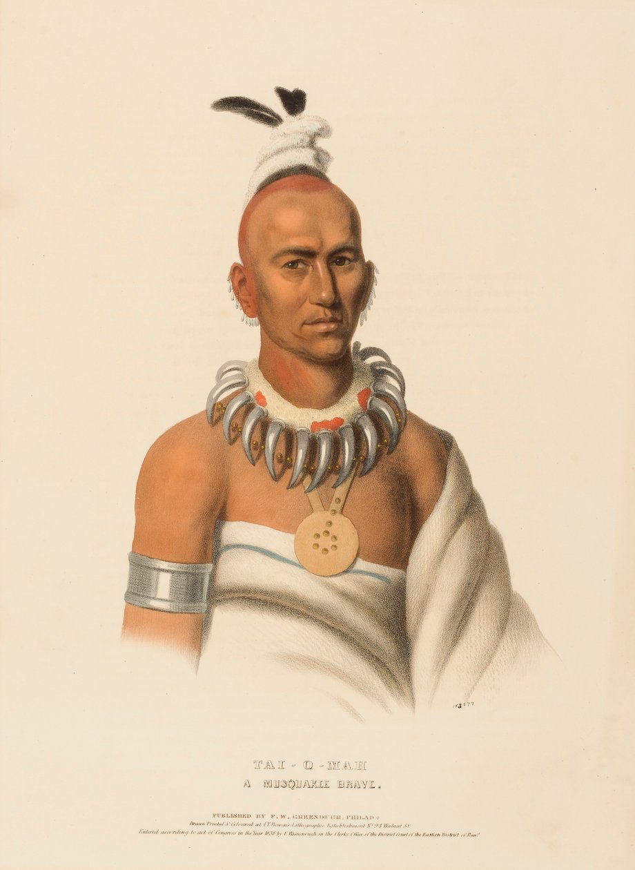 TAI-O-MAH. A MUSQUAKEE BRAVE., az Észak-Amerika indián törzseinek története című könyvből. alkotó: Charles Bird King
