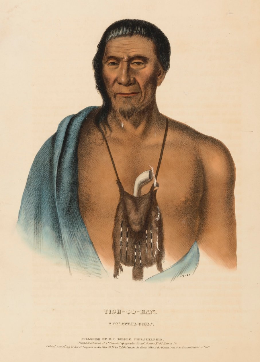 TISH-CO-HAN. A DELAWARE CHIEF., az Észak-Amerika indián törzseinek történetéből alkotó: Charles Bird King
