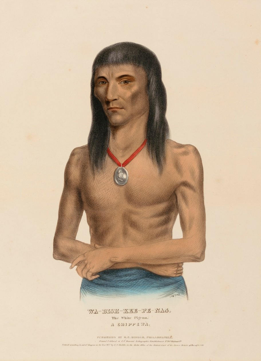 WA-BISH-KEE-PE-NAS. A fehér galamb. A CHIPPEWA, az Észak-Amerika indián törzseinek története című könyvből. alkotó: Charles Bird King
