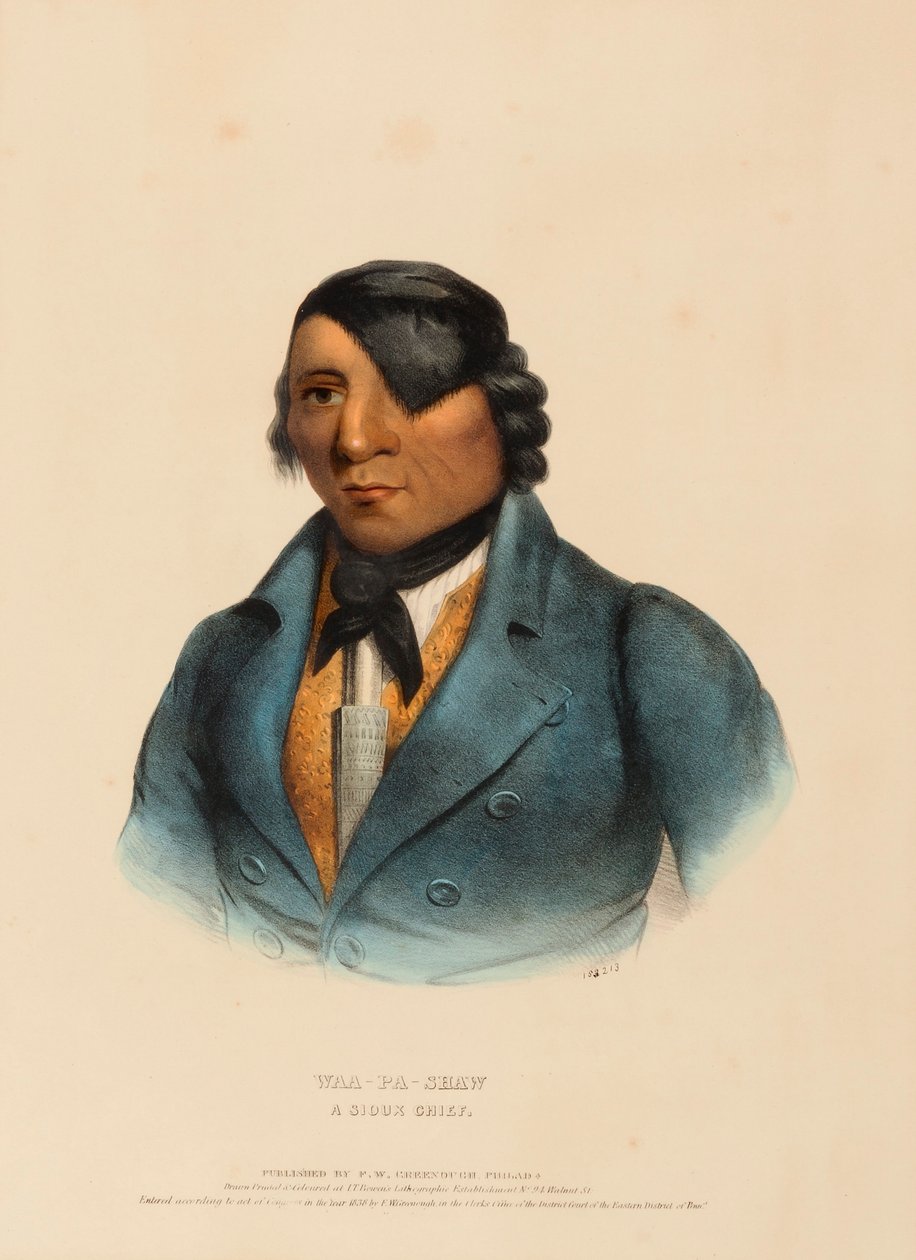 WAA-PA-SHAW. A SIOUX CHIEF, az Észak-Amerika indián törzseinek története című könyvből. alkotó: Charles Bird King