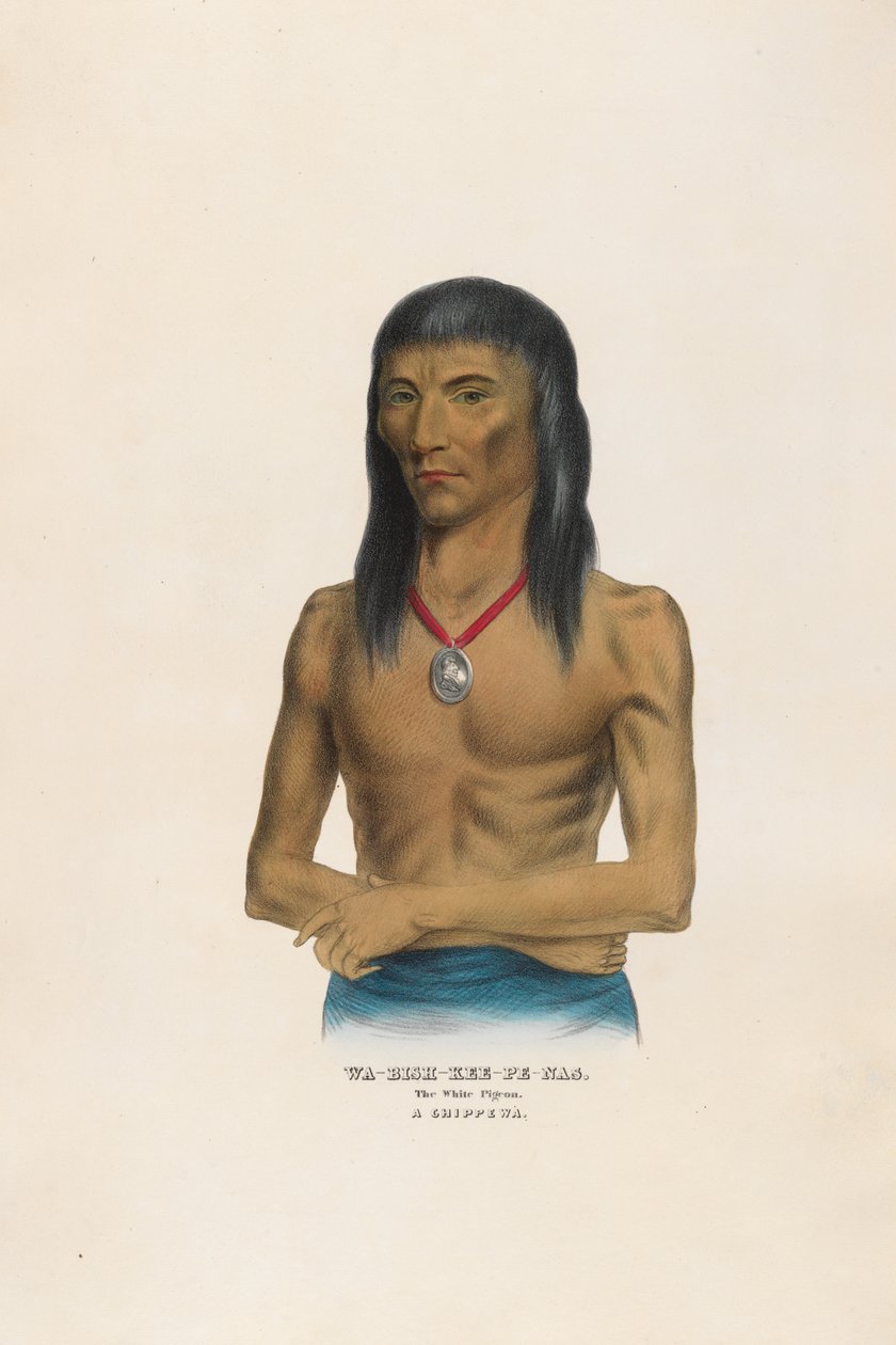 Wa-bish-kee-pe-nas - A fehér galamb alkotó: Charles Bird King