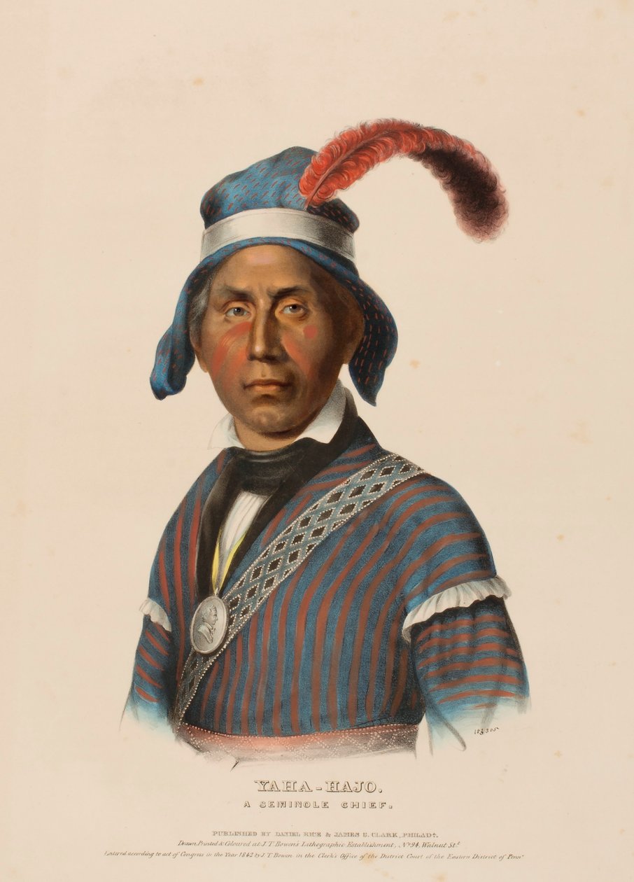 YAHA-HAJO. A SEMINOLE CHIEF., az Észak-Amerika indián törzseinek története című könyvből. alkotó: Charles Bird King