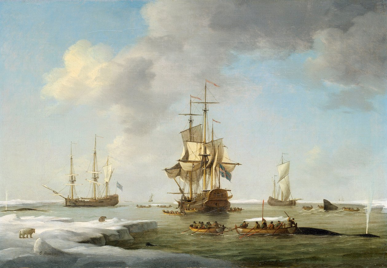 Grönlandi halászat: 1750 körül (olaj, vászon). alkotó: Charles Brooking