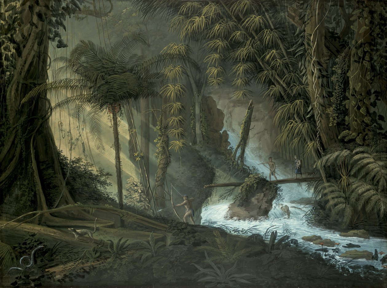 Brazil erdő alkotó: Charles Comte de Clarac