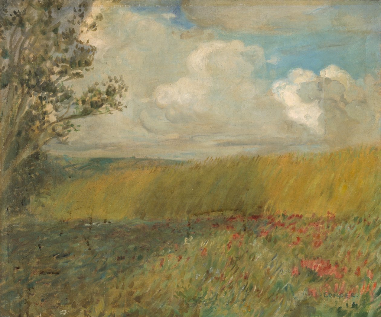 A kukoricamező (olaj, vászon) alkotó: Charles Condor