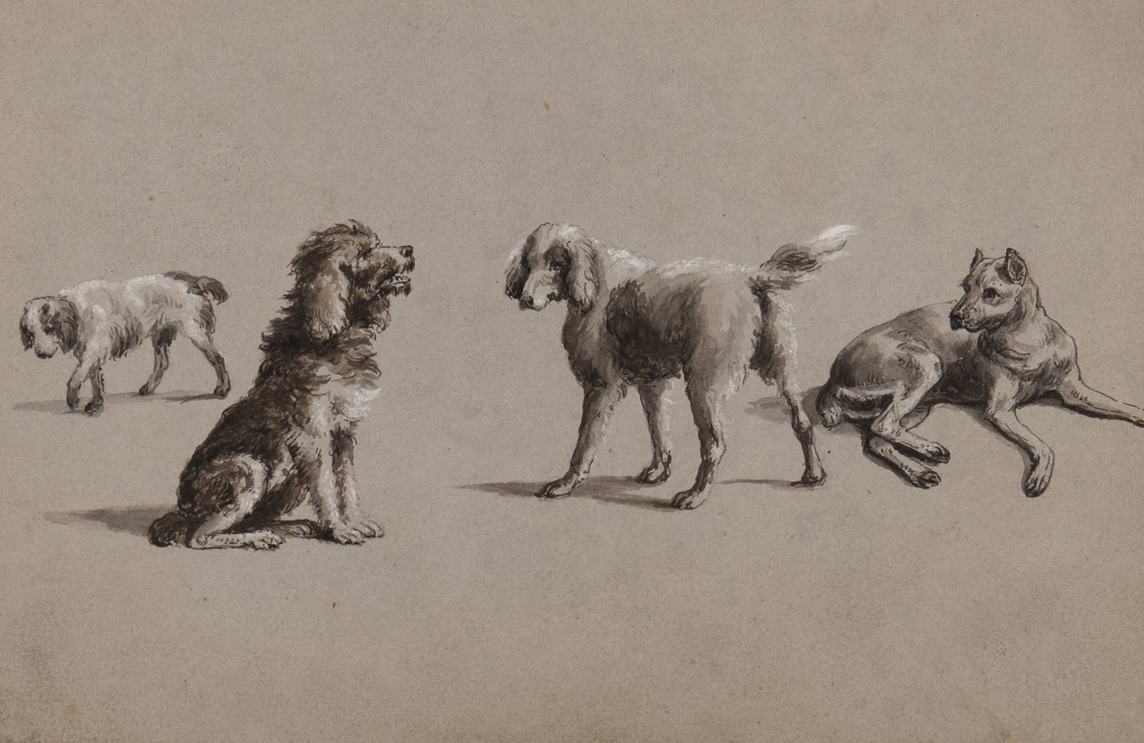 Tanulmányok kutyákról (toll, ecset, tinta és gouache papíron) alkotó: Charles Cooper Henderson