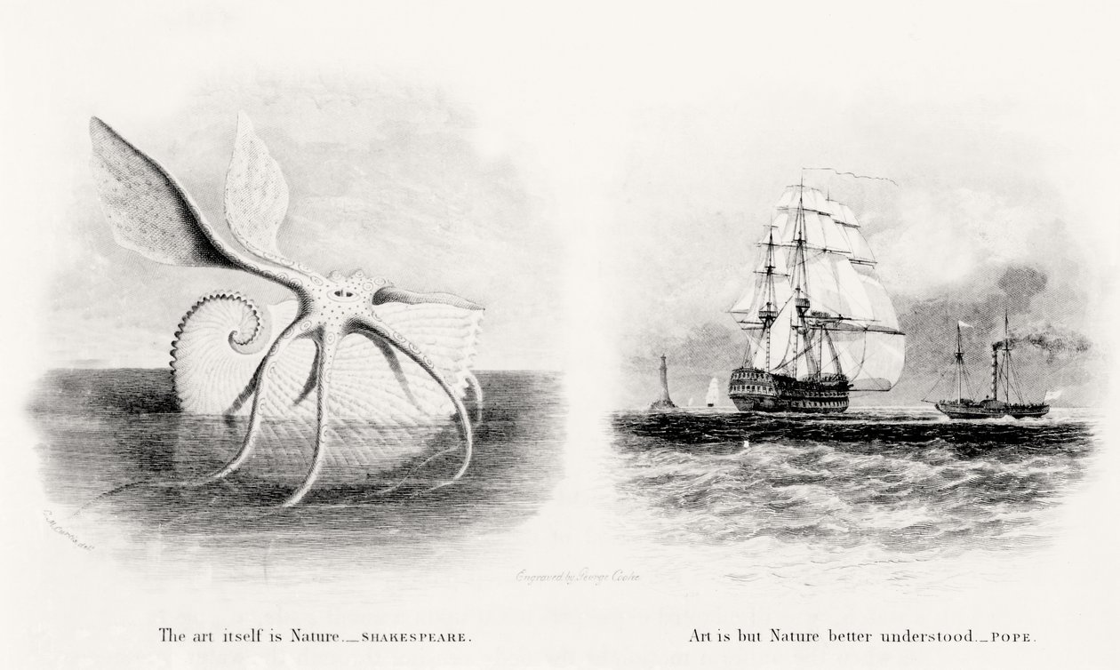 Egy óriási tintahal és két hajó a tengeren, vésette George Cooke (1781-1834) alkotó: Charles Curtis