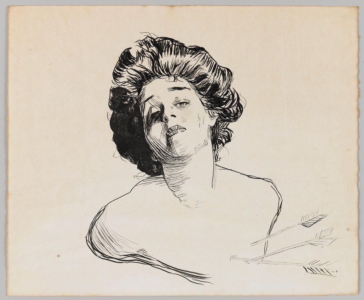 Egy lány portréja (fekete tinta krémpapíron) alkotó: Charles Dana Gibson