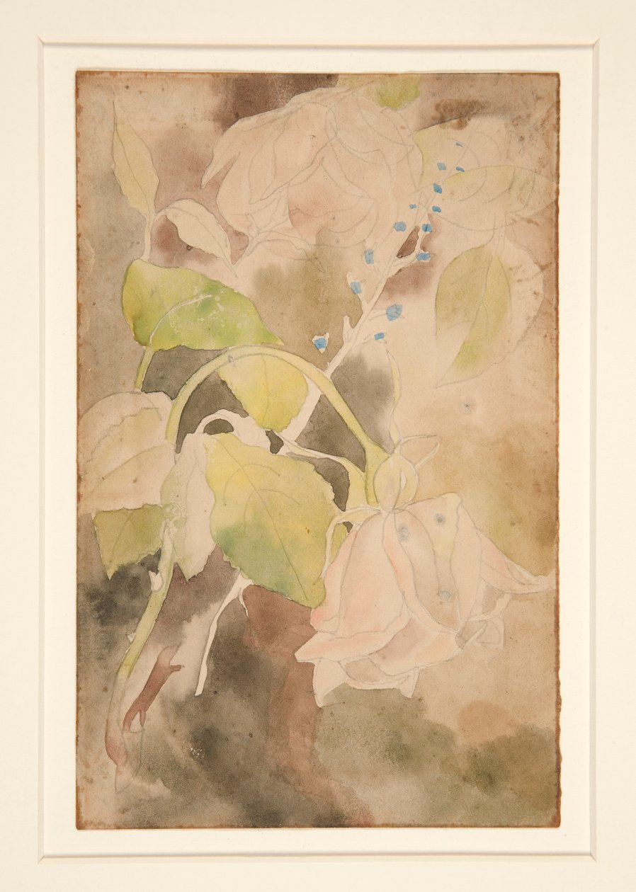 Barackos rózsa alkotó: Charles Demuth