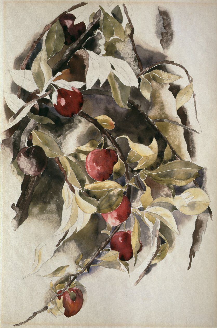 Szilva, 1925 alkotó: Charles Demuth