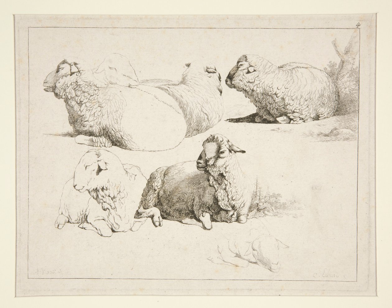 Birkák a legelőn alkotó: Charles Echard