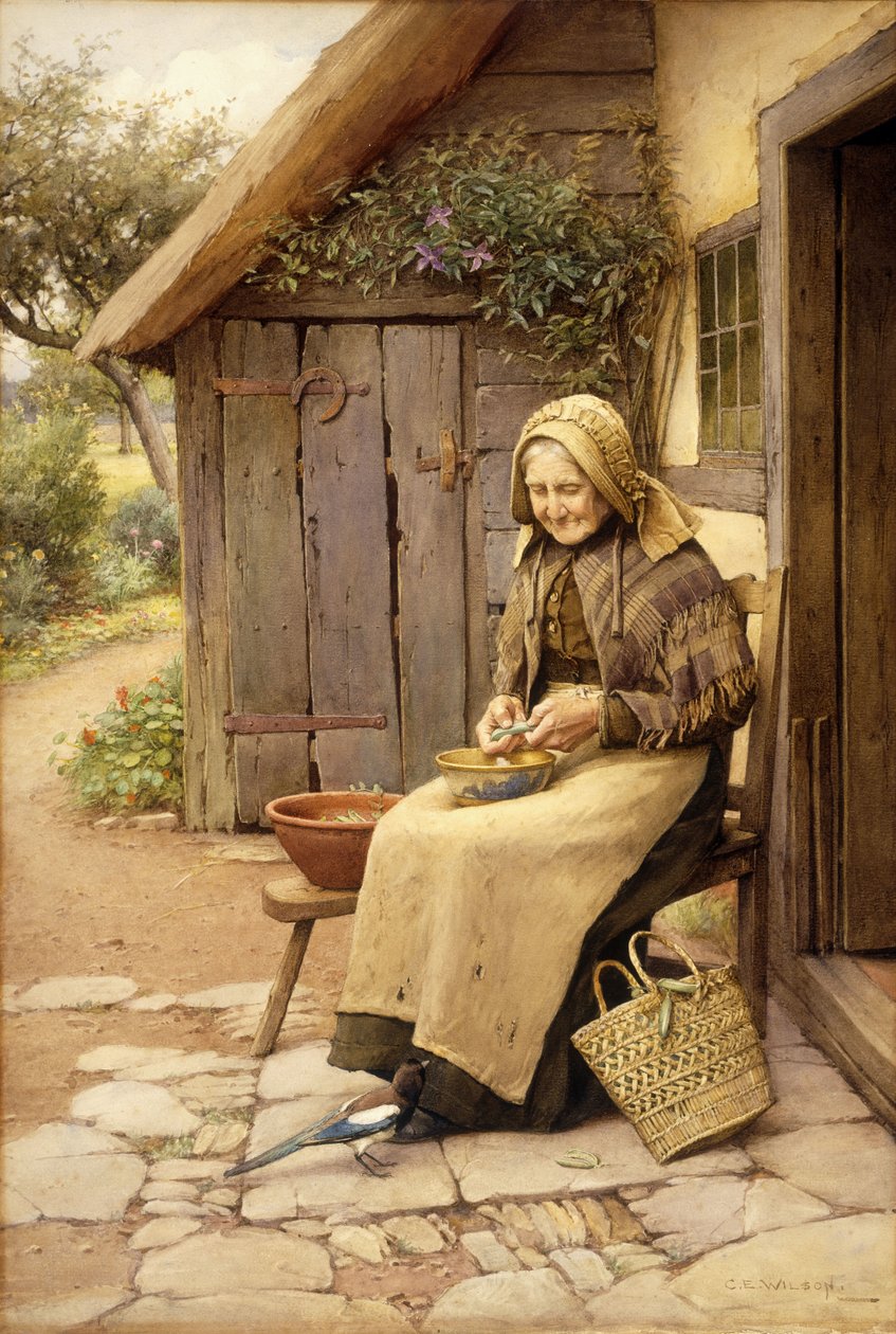Egy finom tollú barát (papírral) alkotó: Charles Edward Wilson