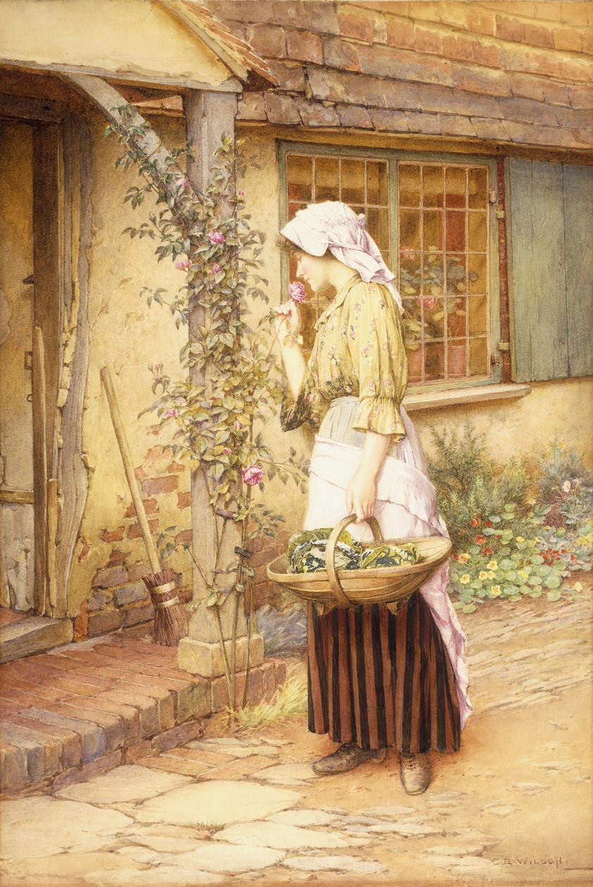 A legédesebb rózsa (papírral) alkotó: Charles Edward Wilson