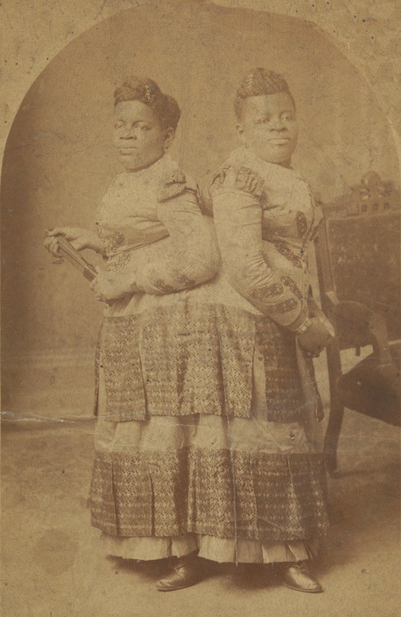 Millie és Christine McCoy albumennyomata, 1880-1890. alkotó: Charles Eisenmann