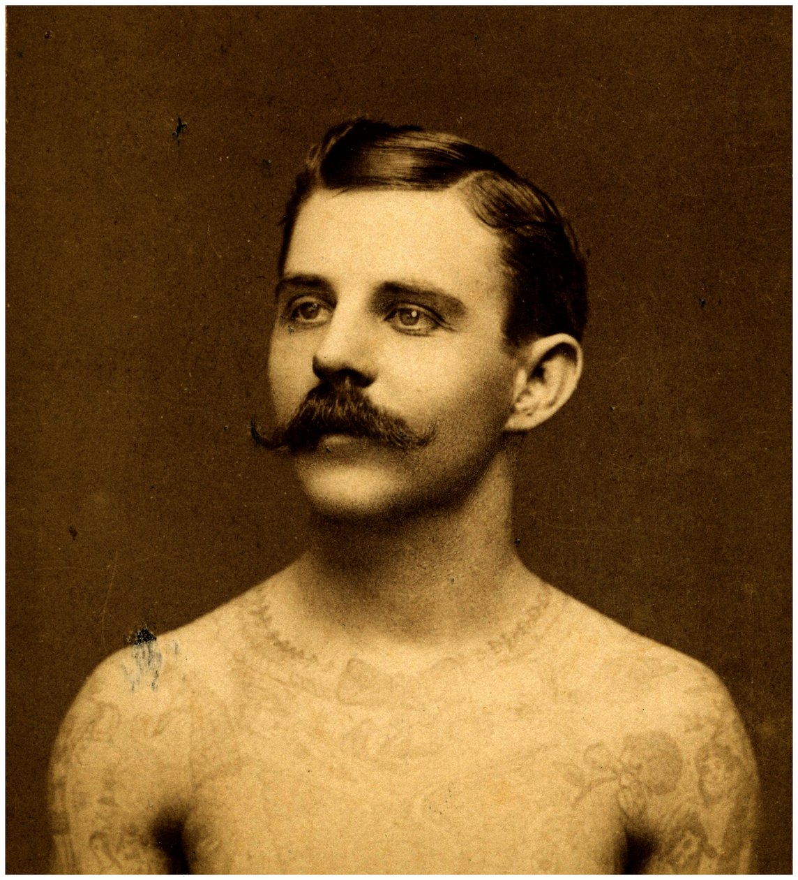 Frank Howard, a tetovált férfi, 1900 körül (szekrénykártya) alkotó: Charles Eisenmann