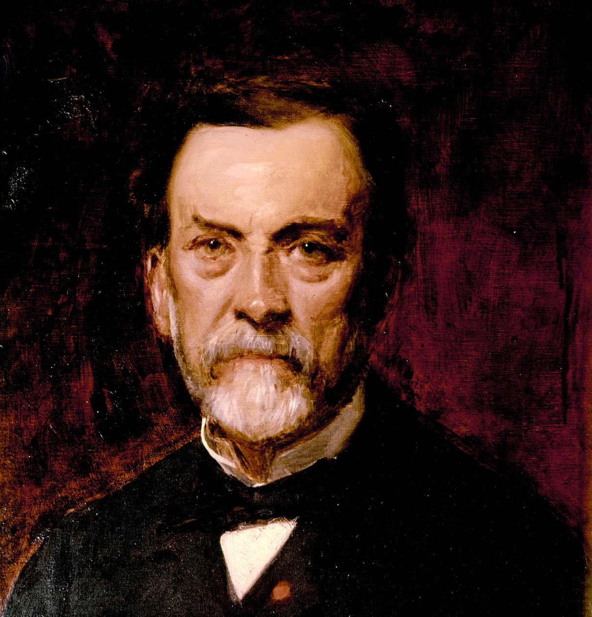 Louis Pasteur portréja (olaj, vászon) alkotó: Charles Emile Auguste Carolus-Duran