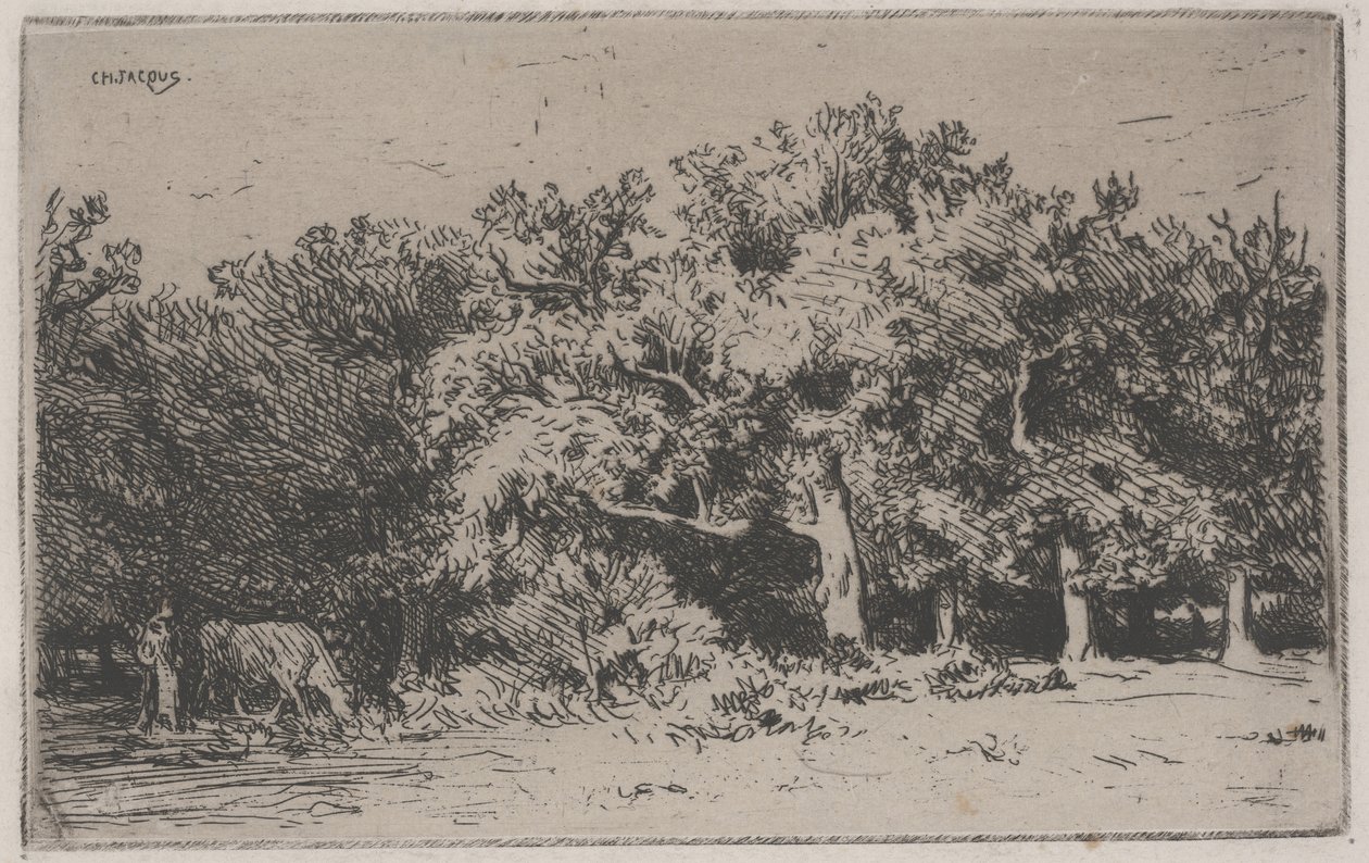 A fontainebleau-i erdő sarka (rézkarc) alkotó: Charles Emile Jacque