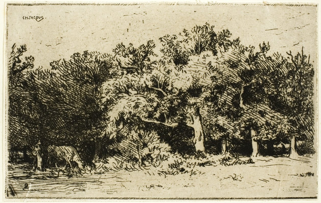 A fontainebleau-i erdő egy része alkotó: Charles Emile Jacque