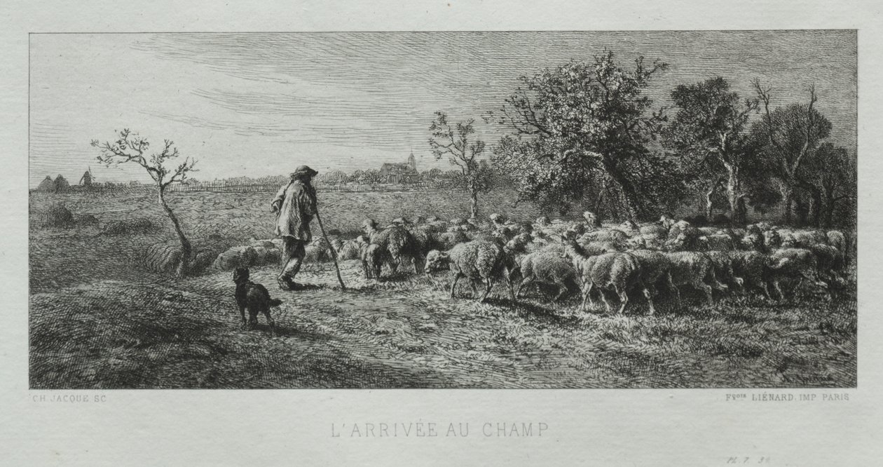 Megérkezés a Mezőre alkotó: Charles Emile Jacque