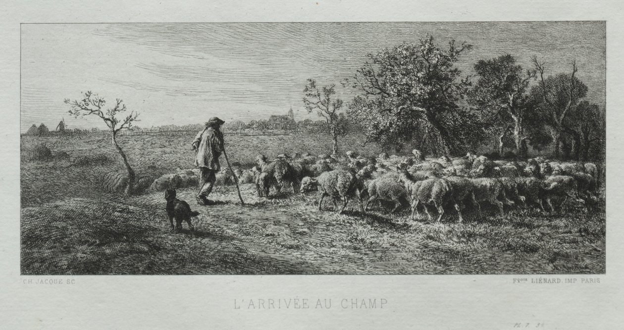 Megérkezés a Mezőre. alkotó: Charles Emile Jacque