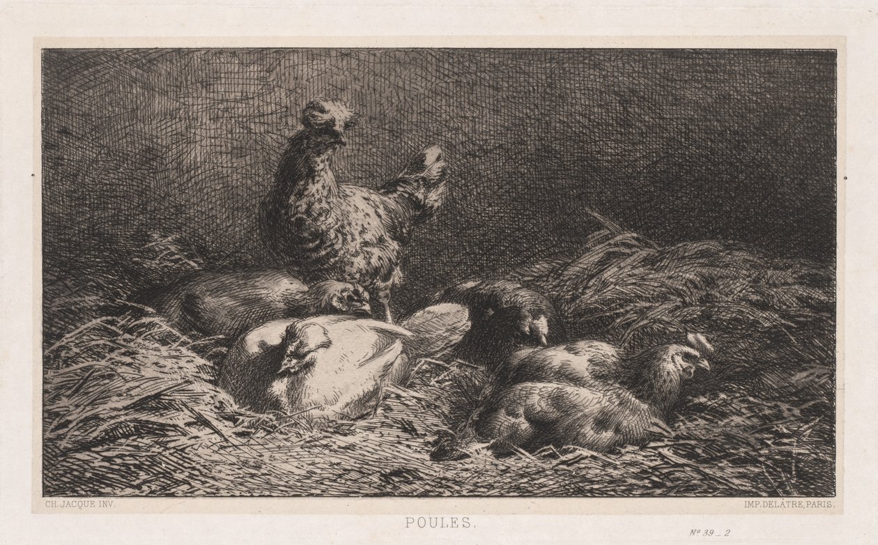 Csirkék alkotó: Charles Emile Jacque