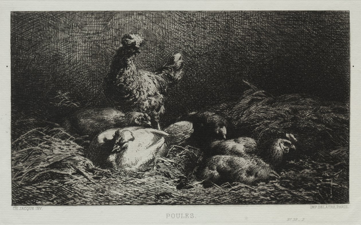 Csirkék alkotó: Charles Emile Jacque