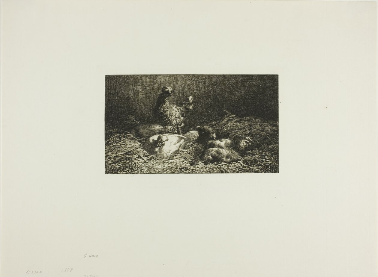 Csirkék a fészkükben alkotó: Charles Emile Jacque