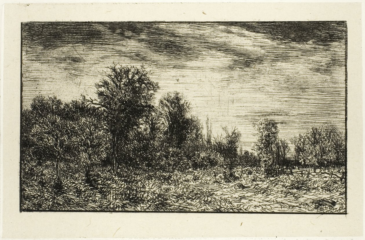 Egy erdő széle, felhős ég alatt alkotó: Charles Emile Jacque