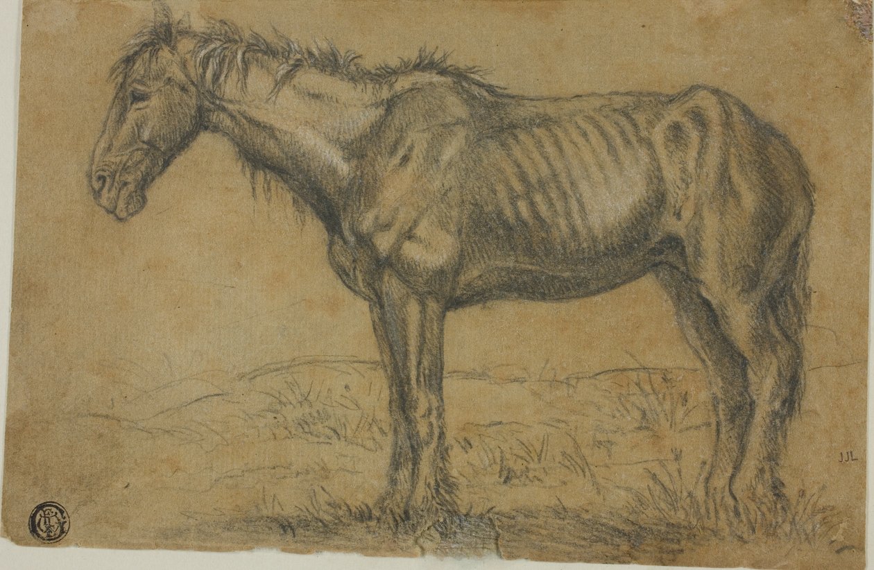 Elfogyott ló (recto); egy ló frontális nézete (verso) alkotó: Charles Emile Jacque