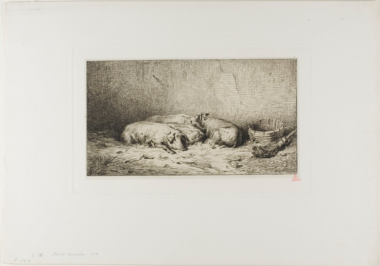 Négy alvó malac alkotó: Charles Emile Jacque