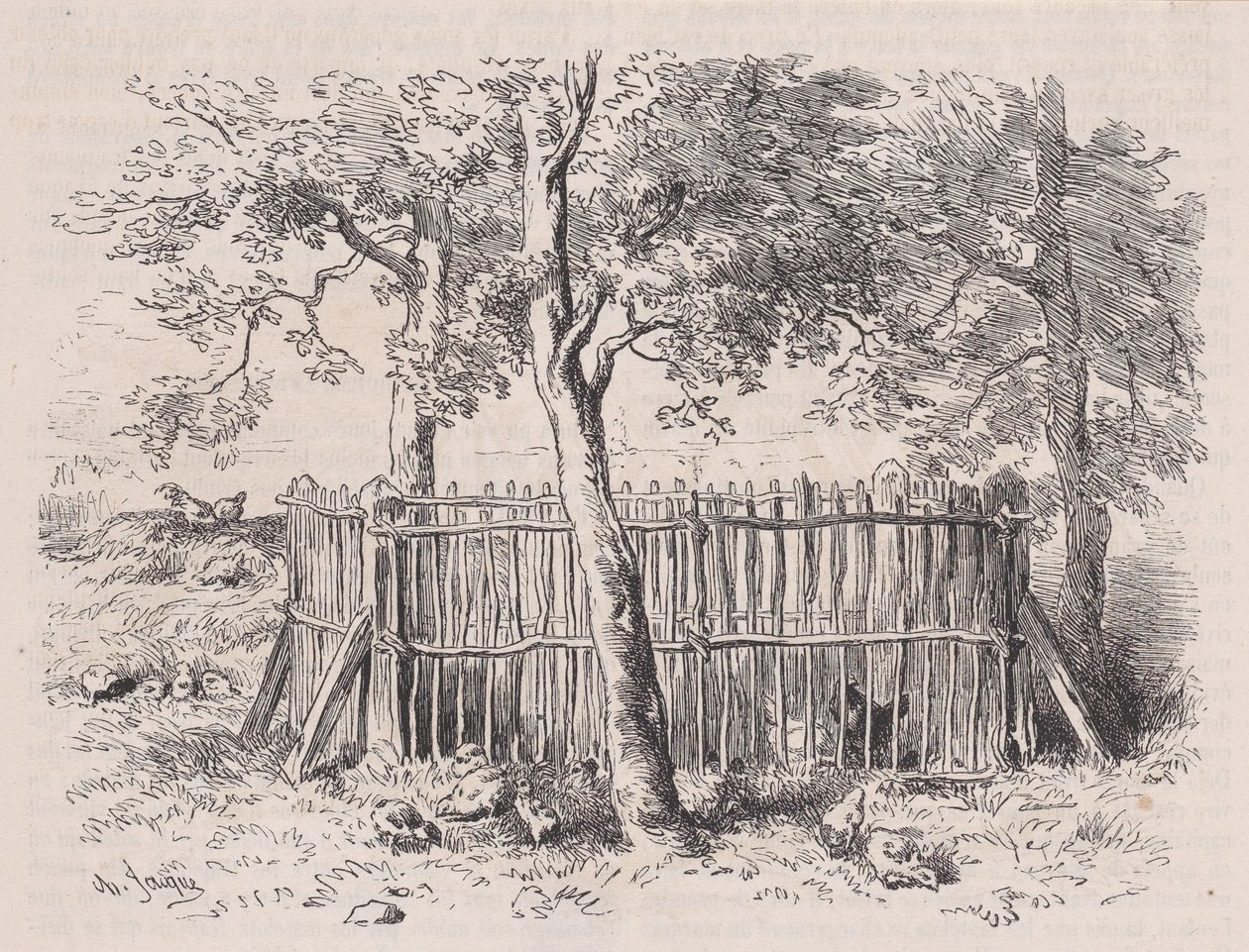 Iskolapark, Magasin Pittoresque-ből, kb. 1852. alkotó: Charles Emile Jacque