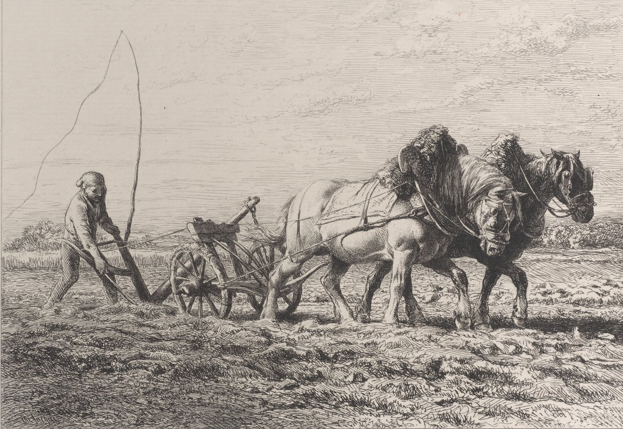 Szántás, 1864. alkotó: Charles Emile Jacque