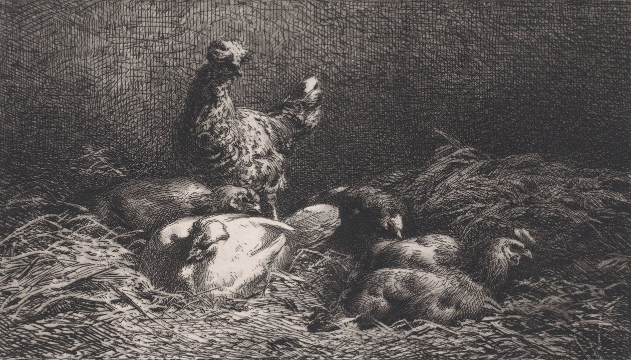 Tyúkok, 1867. alkotó: Charles Emile Jacque