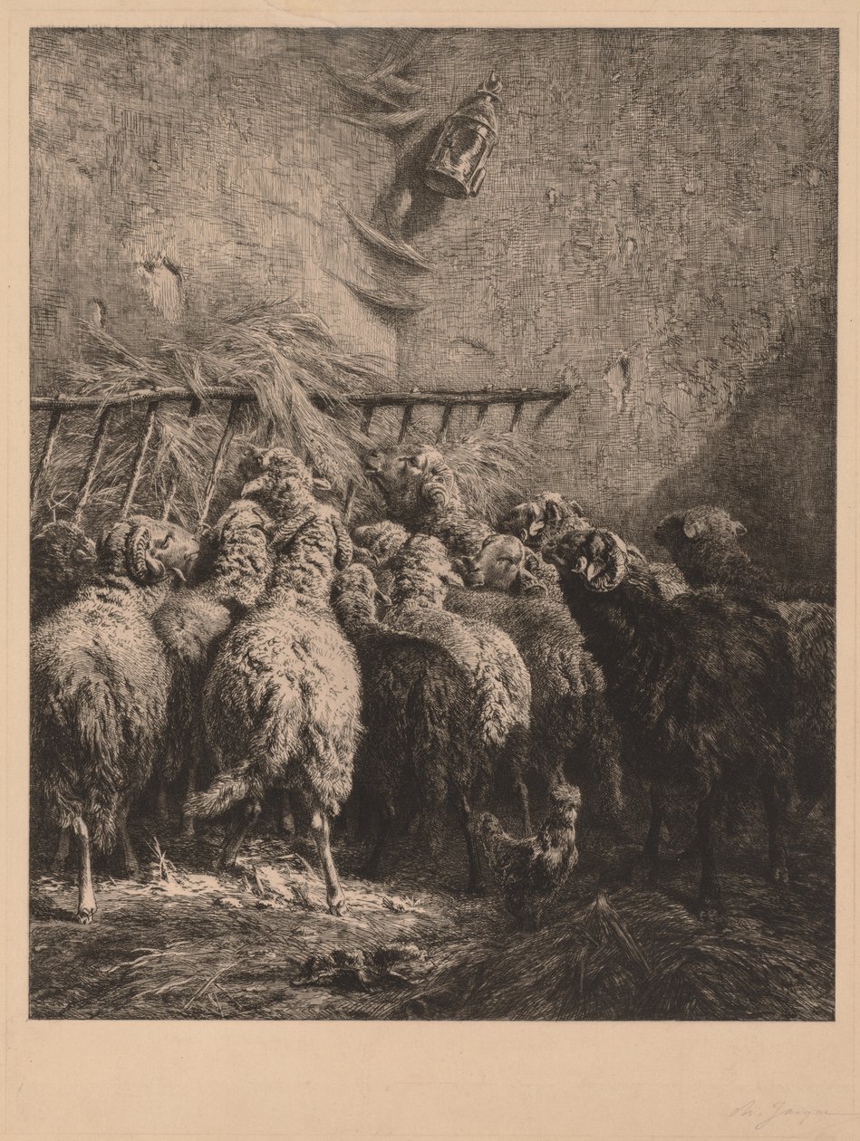 Béarn birkatartó alkotó: Charles Emile Jacque