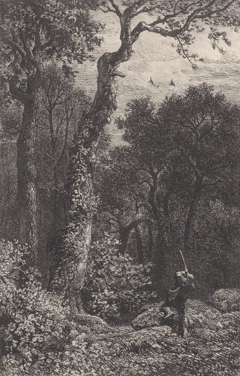 Fakakas lövés, 1864. alkotó: Charles Emile Jacque