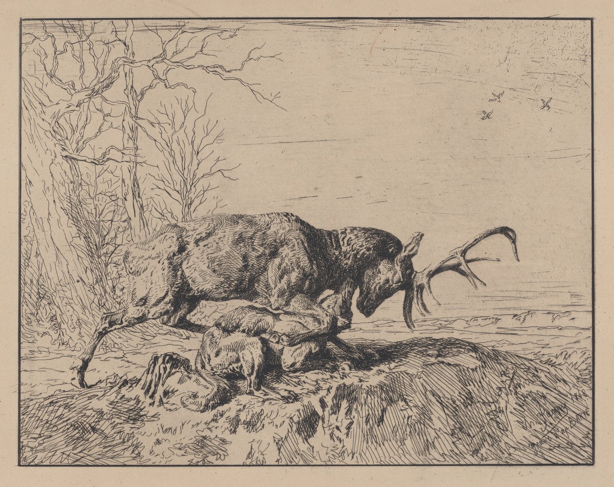 Szarvasharc a farkassal, Antoine Louis Barye nyomán, 1846. alkotó: Charles Emile Jacque