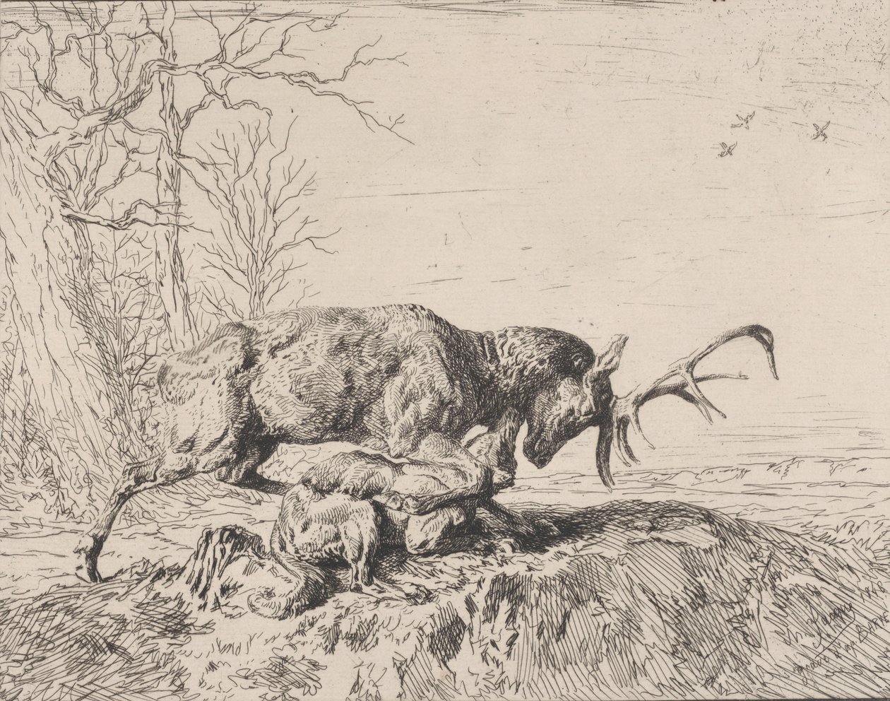 Szarvasharc a farkassal, Antoine Louis Barye nyomán, 1846. alkotó: Charles Emile Jacque